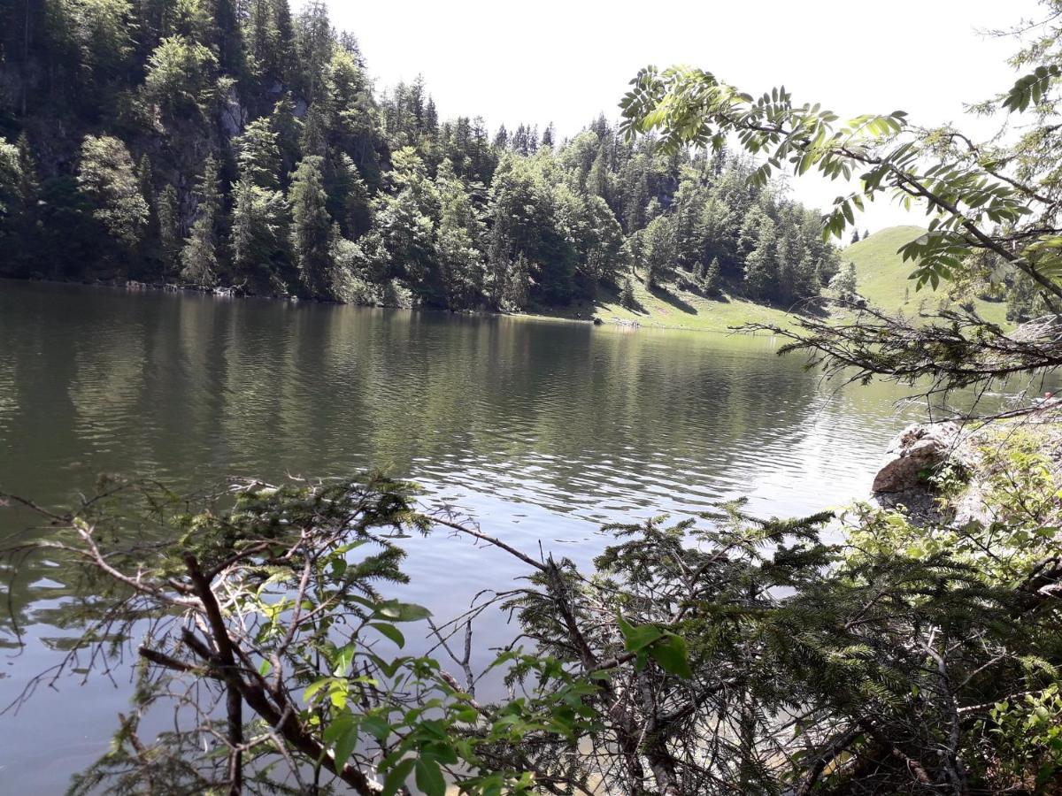 Ferienwohnung Bergzeit Oberwössen Zewnętrze zdjęcie