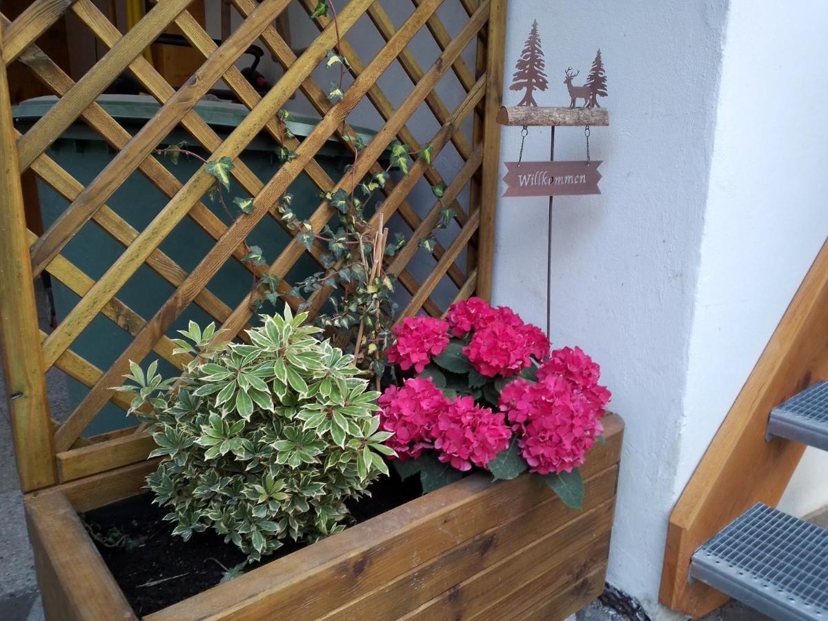 Ferienwohnung Bergzeit Oberwössen Zewnętrze zdjęcie