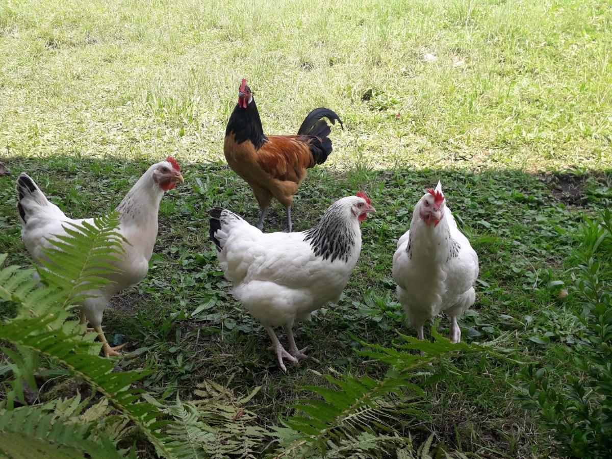 Ferienwohnung Bergzeit Oberwössen Zewnętrze zdjęcie