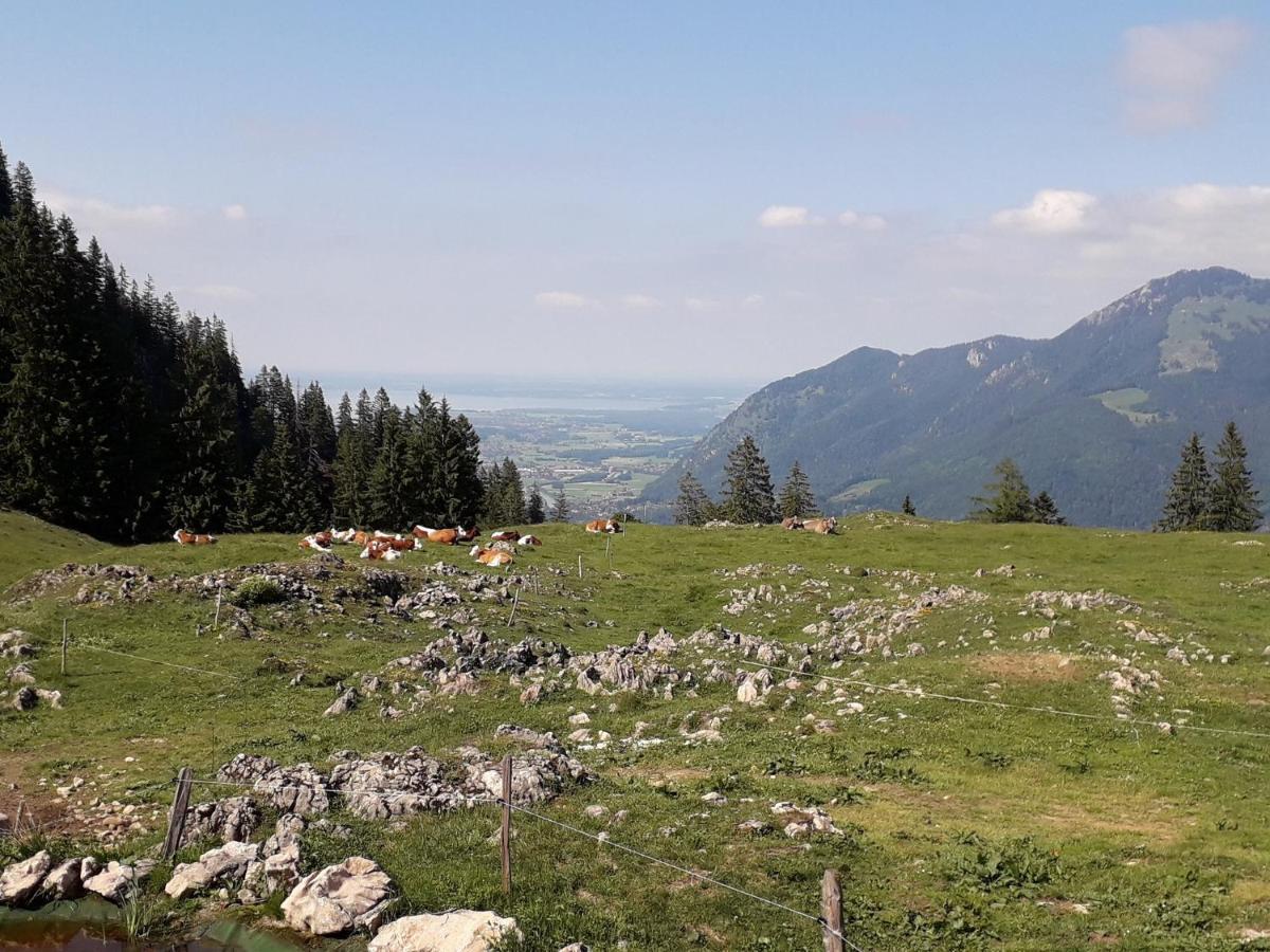 Ferienwohnung Bergzeit Oberwössen Zewnętrze zdjęcie
